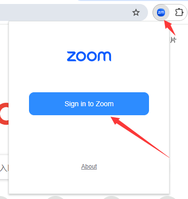 Zoom Chrome Extension