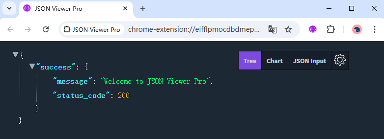 JSON Viewer Pro